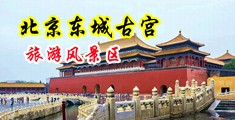 快用大硬鸡巴操我小嫩逼视频中国北京-东城古宫旅游风景区